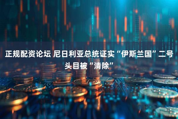 正规配资论坛 尼日利亚总统证实“伊斯兰国”二号头目被“清除”